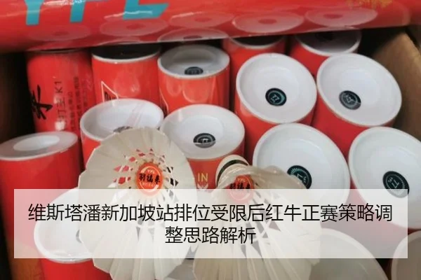 维斯塔潘新加坡站排位受限后红牛正赛策略调整思路解析